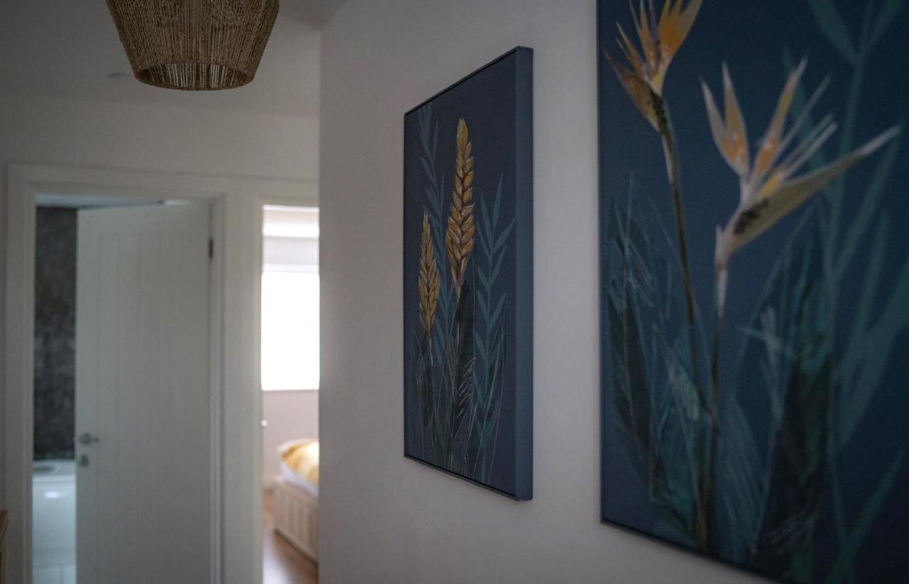 The Red House Modern Stylish Home From Home Walking Distance To Cardiff Bay And City Centre With Parking מראה חיצוני תמונה