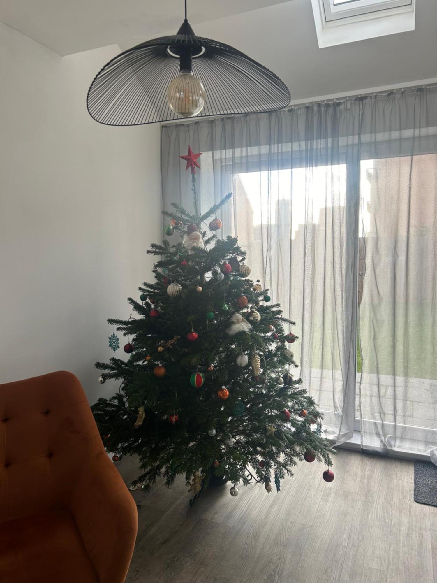 The Red House Modern Stylish Home From Home Walking Distance To Cardiff Bay And City Centre With Parking מראה חיצוני תמונה
